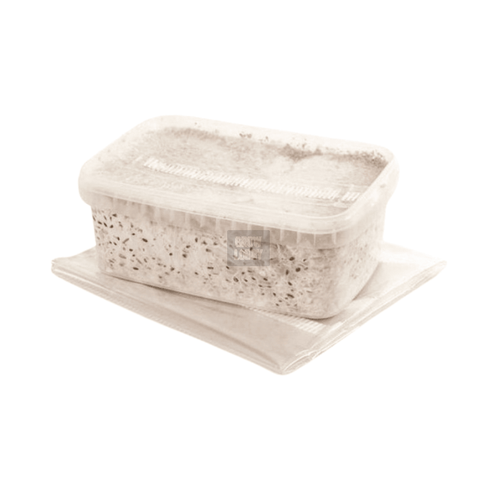 Pan de Setas Camboyanas
