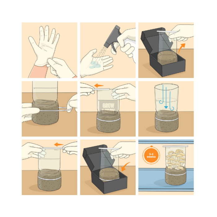 Pan de Setas Cascadian Teacher