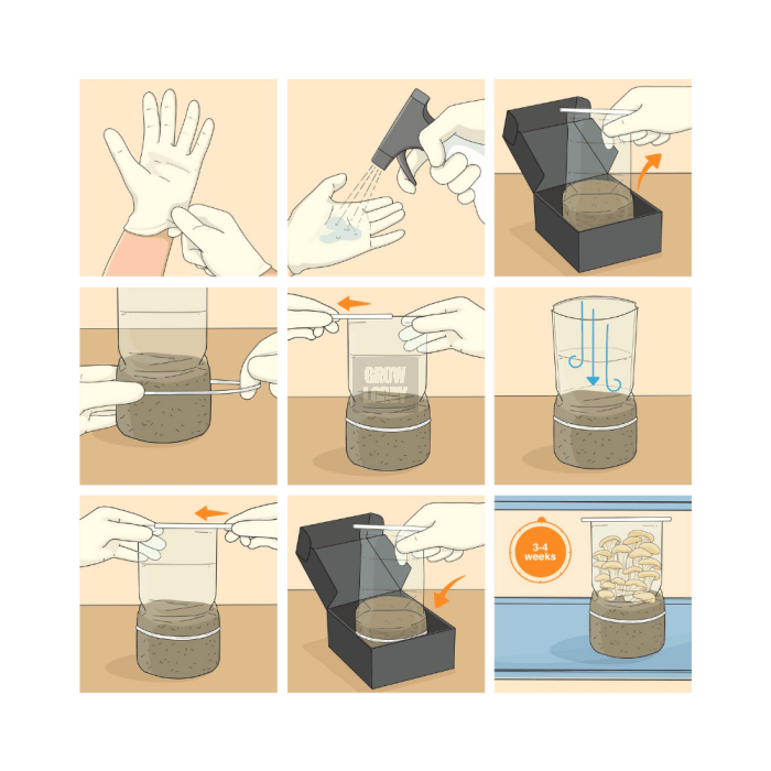 Pan de Setas HillBilly Pumpkin