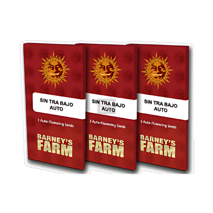 Sin Tra Bajo Auto Sin Tra Bajo Auto