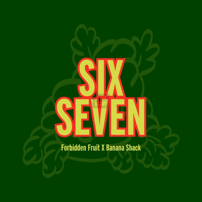 Six Seven Six Seven