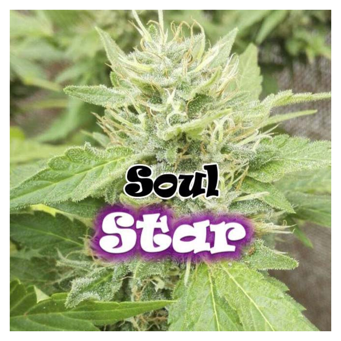 Soul Star