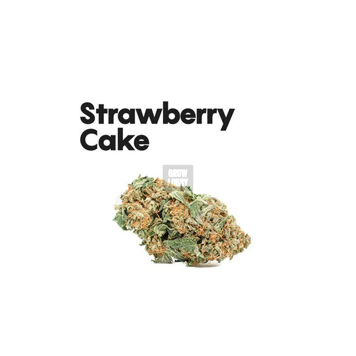 Strawberry Cake Life CBD