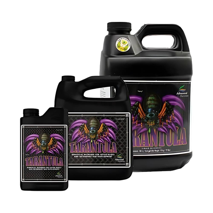 Tarantula