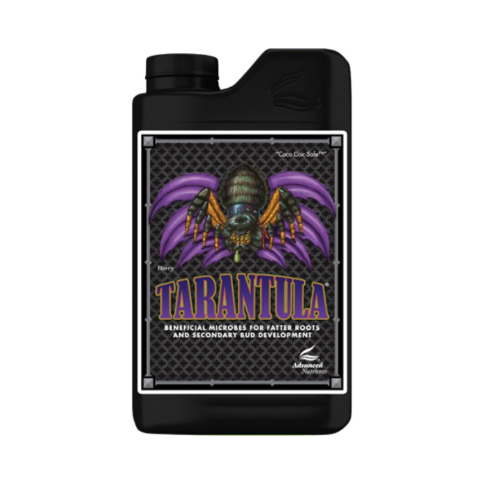 Tarantula Tarantula