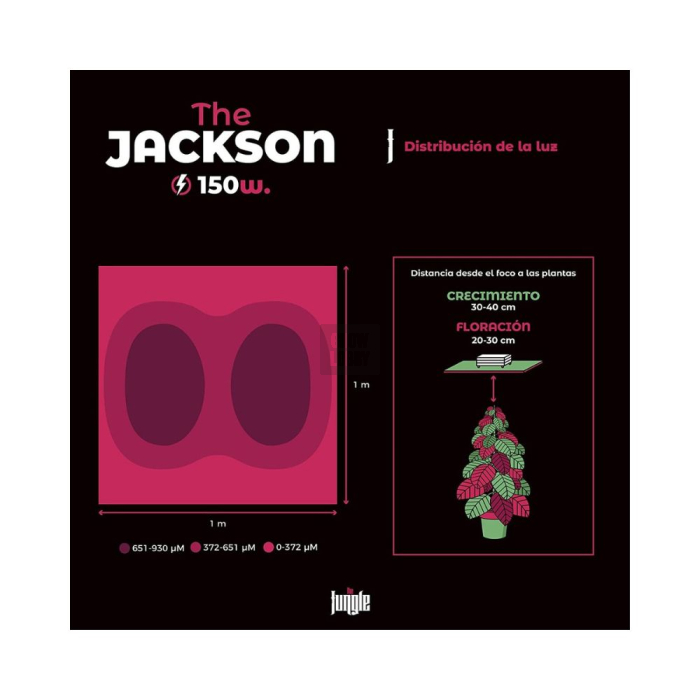 The Jackson LED The Jungle