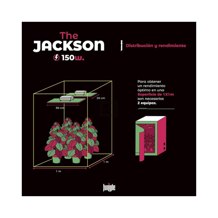 The Jackson LED The Jungle