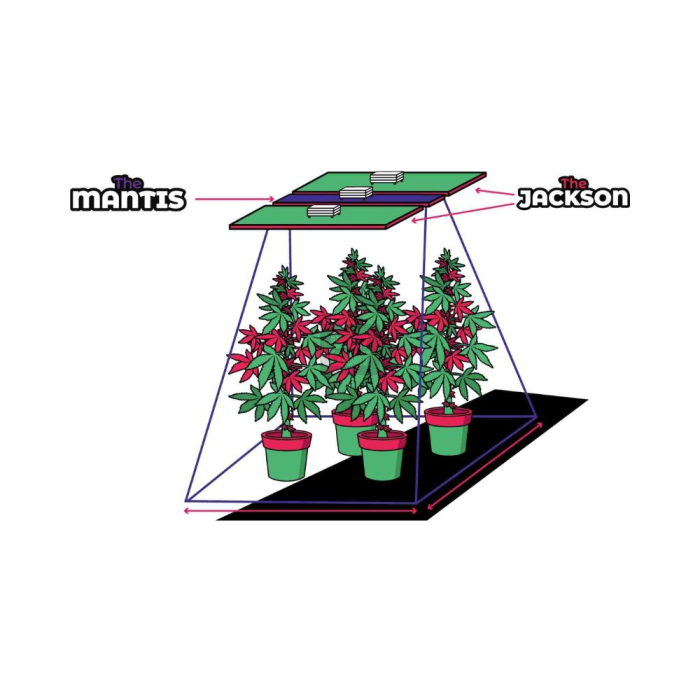 The Mantis UV 25W LED The Jungle