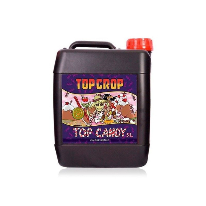 Top Candy