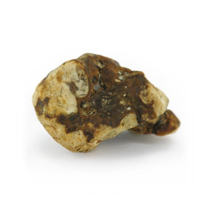 Trufas Atlantis