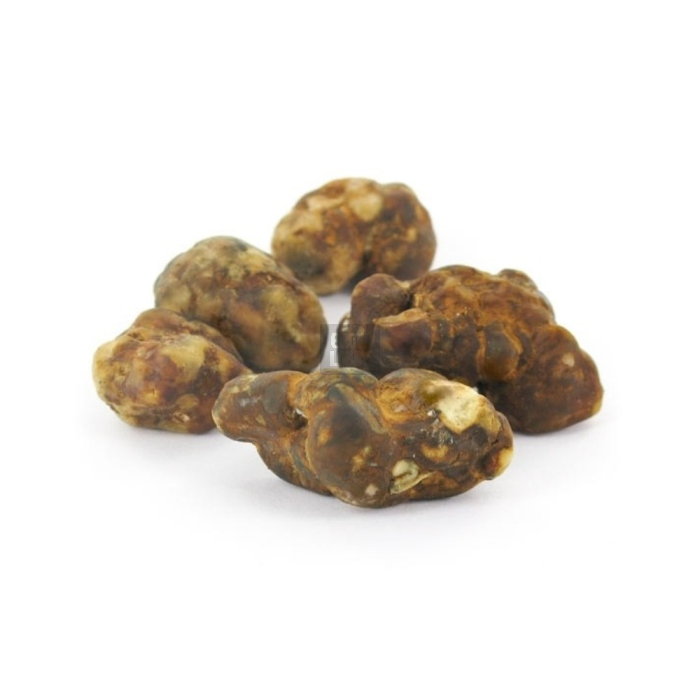 Trufas Atlantis