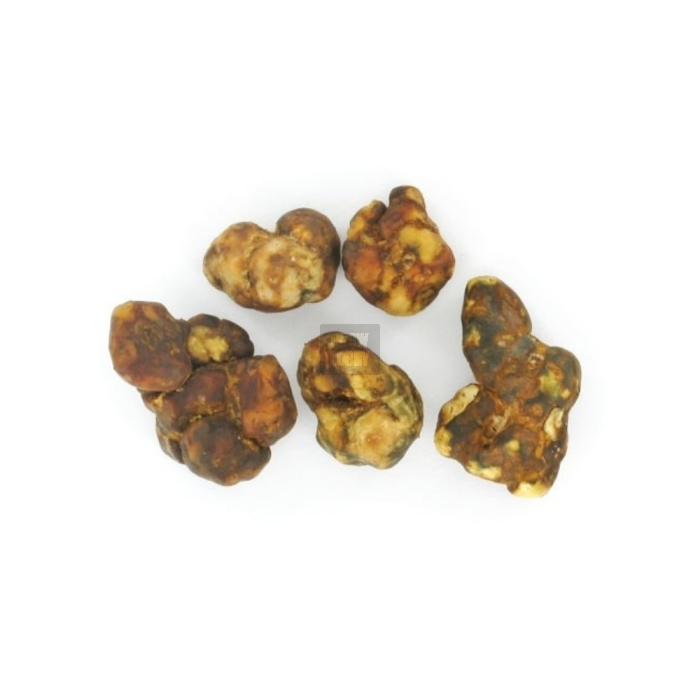 Trufas Atlantis