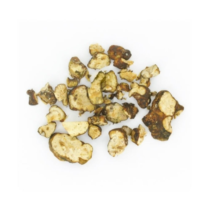 Trufas Hollandia