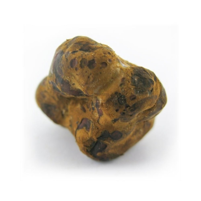 Trufas Mexicana