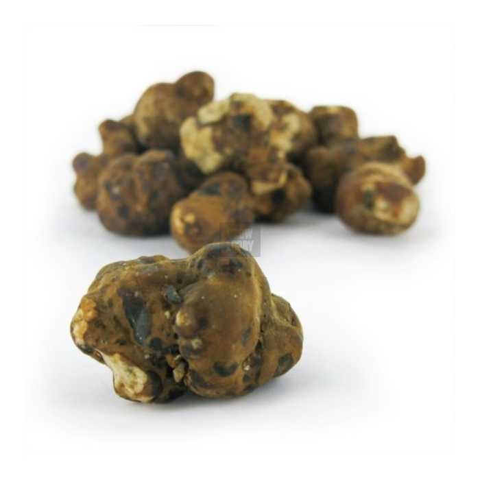 Trufas Mexicana