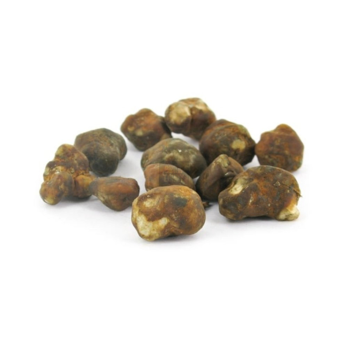 Trufas Mexicana