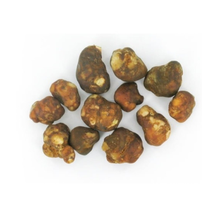 Trufas Mexicana