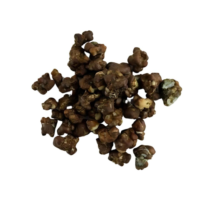 Trufas Micromex