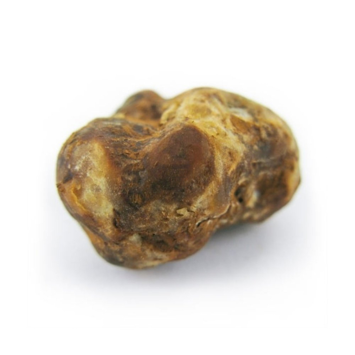 Trufas Pajaritos