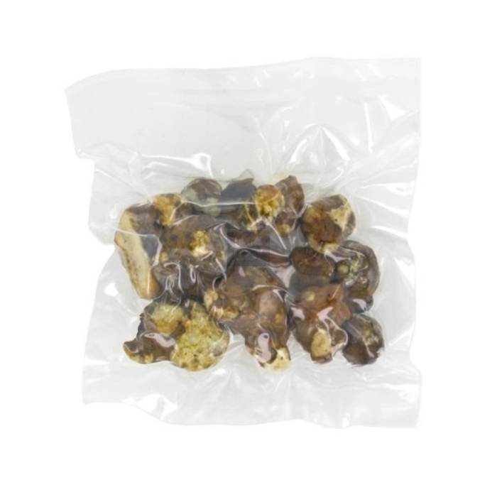 Trufas Tampanensis Pollock