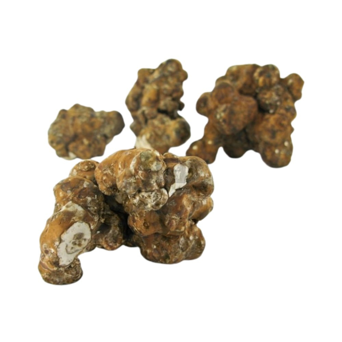 Trufas Utopia