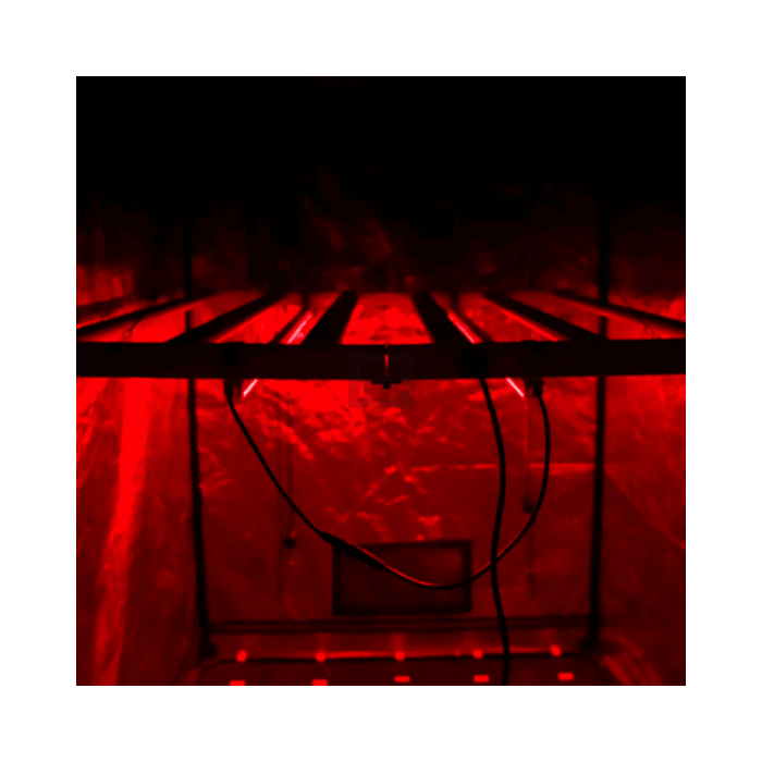 Tubos LED NIR (2x22W) Agrolite