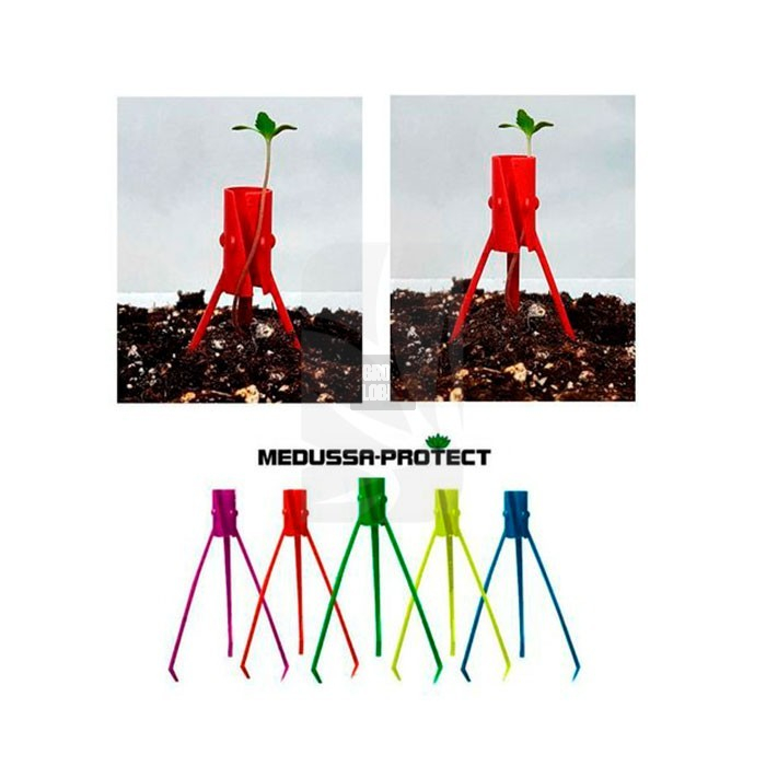 Tutor Medussa Protect (1ud.)