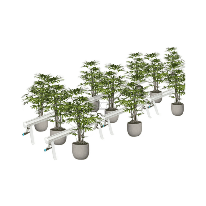 Under Canopy LED Solux