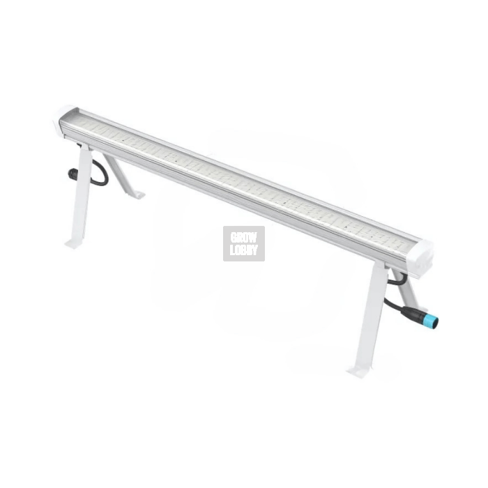 Under Canopy LED Solux