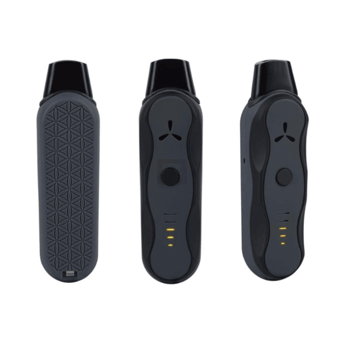 Vaporizador AirVape XS GO