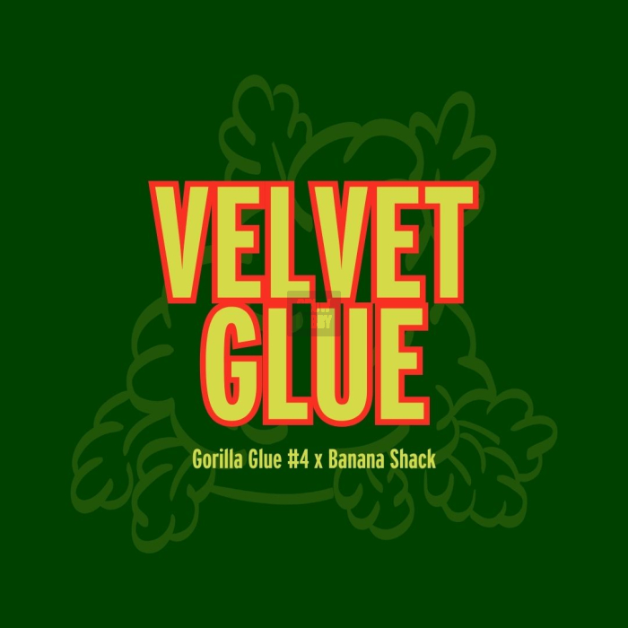 Velvet Glue Velvet Glue