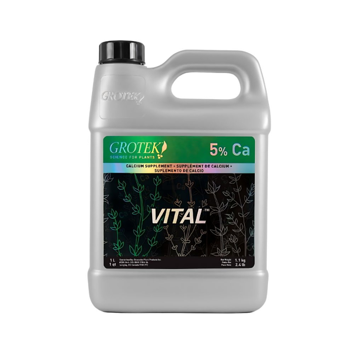 Vital Grotek