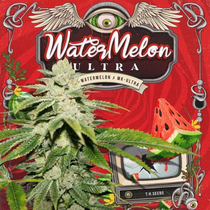 Watermelon Ultra