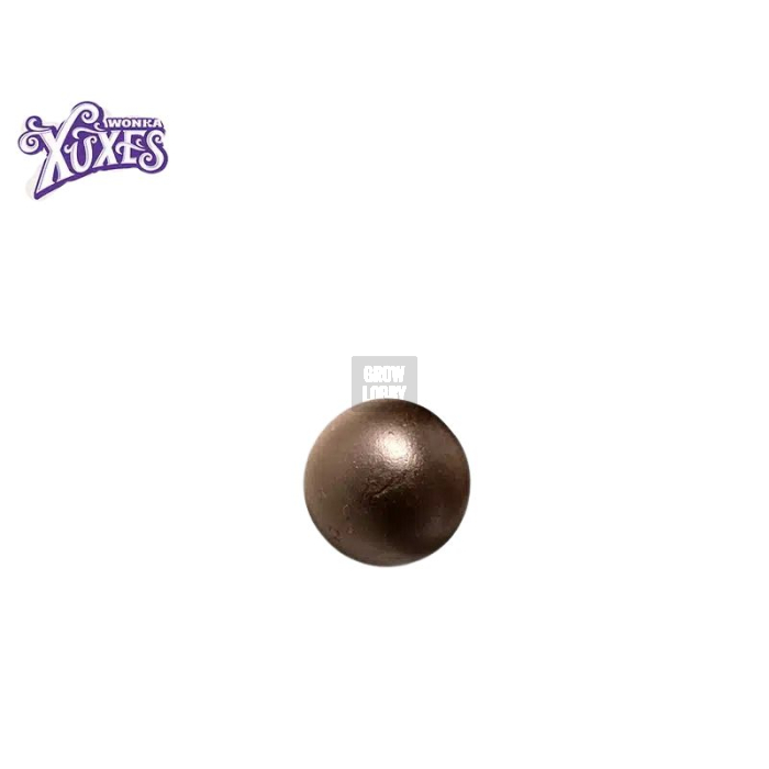 Wonka CBD Hash XUXES
