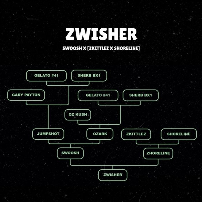 Zwisher Zwisher