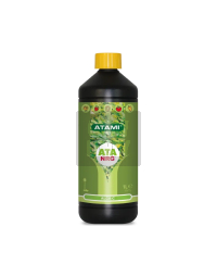 Alga C de Atami
