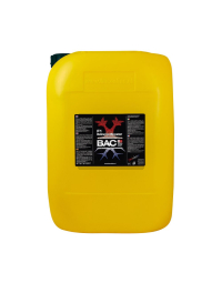 F1 Extreme Booster de BAC