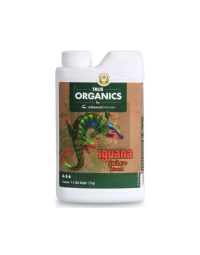Iguana Juice Bloom
