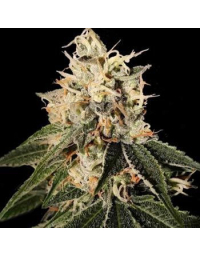 sour-juice-dna-genetics.jpg