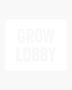 Crystal Candy XL Auto® (100 semillas) Sweet Seeds