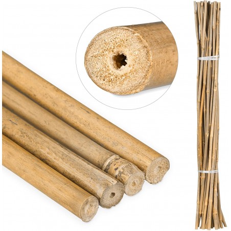 Tutor Bambú (12/14mm)