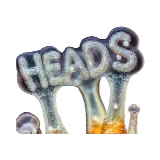 Heads Research