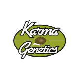 Karma Genetics