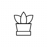Semillas Feminizadas Interior
