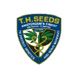 TH Seeds