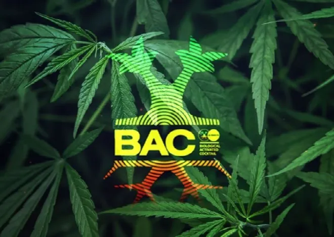 Tabla Cultivo BAC 2025