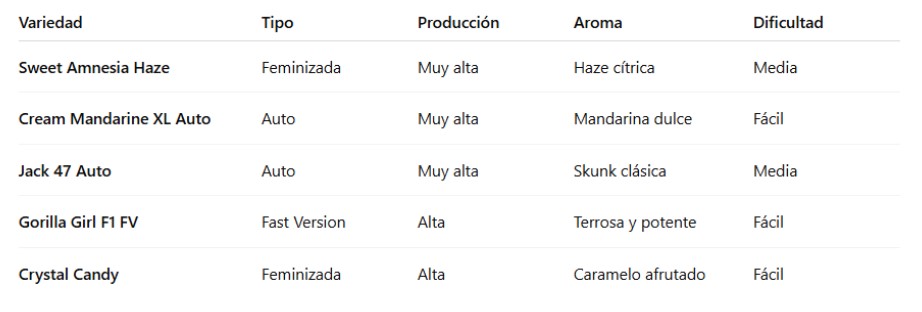 Mejores Variedades de Marihuana Sweet Seeds