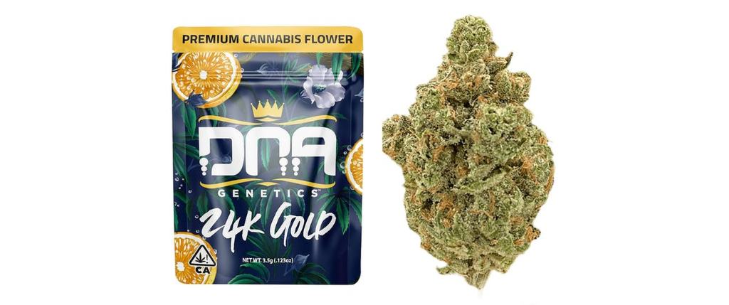 24K Gold DNA Genetics