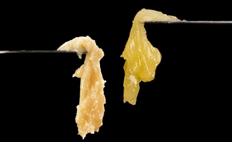 Live Rosin Badder y Jam