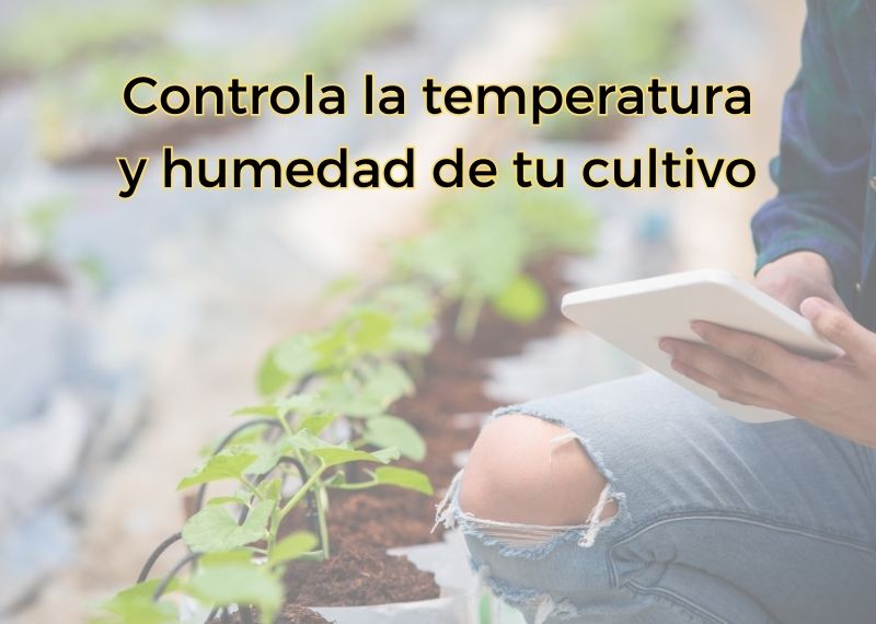 Controla la Temperatura y Humedad de tu cultivo